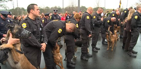 Officers Line Up With Their Dogs Under The Rain.…