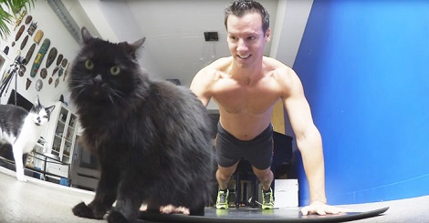 Man Starts Exercising, But When His Cats Find Out?…