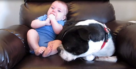 Baby “Accidentally” Poops In His Onesie… Now Watch The Dog’s Hilarious Reaction!