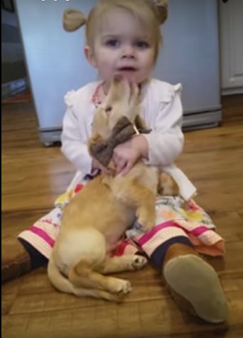 This Little Girl Got A Puppy For Her Second…