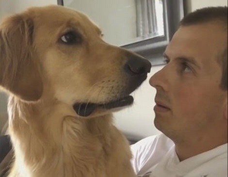 This Golden Retriever Just Heard The Most Amazing News.…