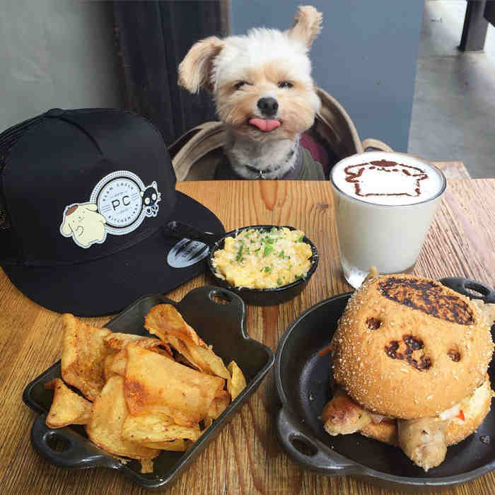 Instagram/Popeye The Foodie Dog