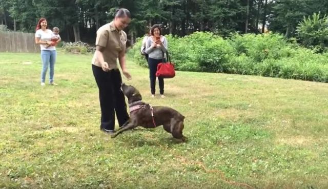 This Officer Thought Her Dog Would Not Recognize Her…