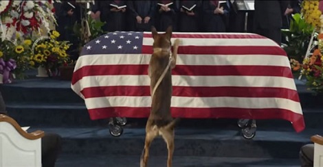 His Handler Died In A Battle, But What His…