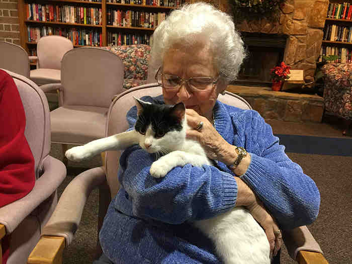 These Senior Cats Visit Nursing Homes To Cuddle With…