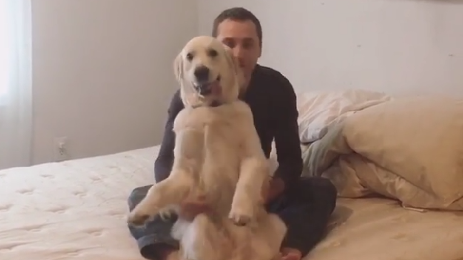 Will This Dog Do The ‘Trust Fall’? Find Out…