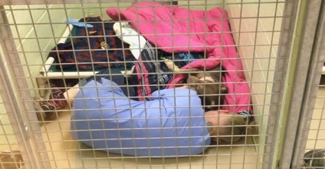 One Of Their Staff Was Inside This Kennel. When…