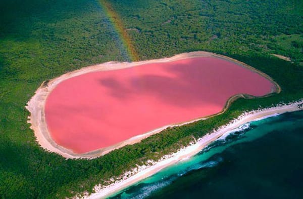 This Is What Happens When Mother Nature Decides To Dress In Pink!