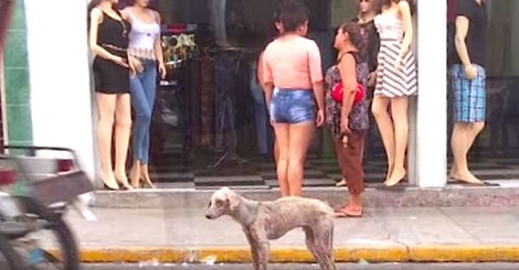 Everyone Ignored This Hungry Dog. Then A Stranger Decided…