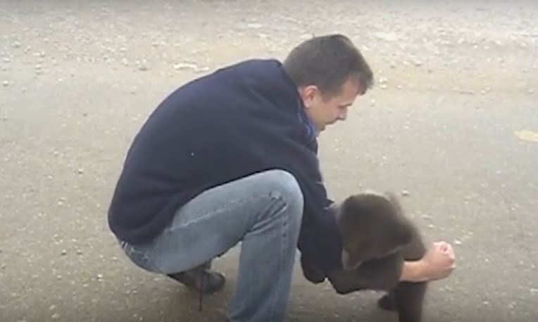 This Video Of A Man And A Baby Bear Playing Is Gonna Give You All The Feels You Need For Today!