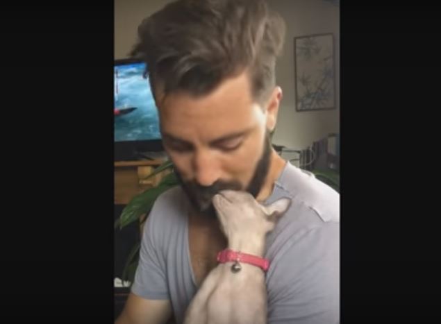 This Cat Loves Rubbing Her Head On Her Human’s…