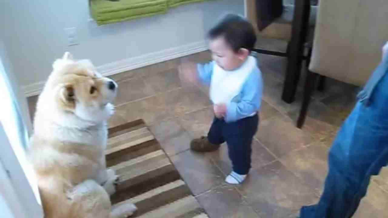 Baby Talks To His Pet Chow. Not Sure Though…