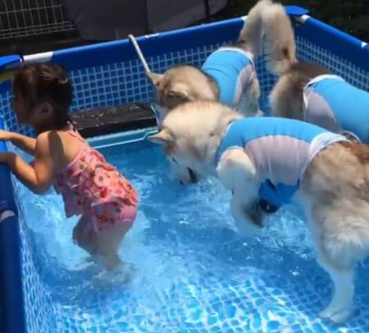 This Little Girl Gets To Have Some Pool Time…