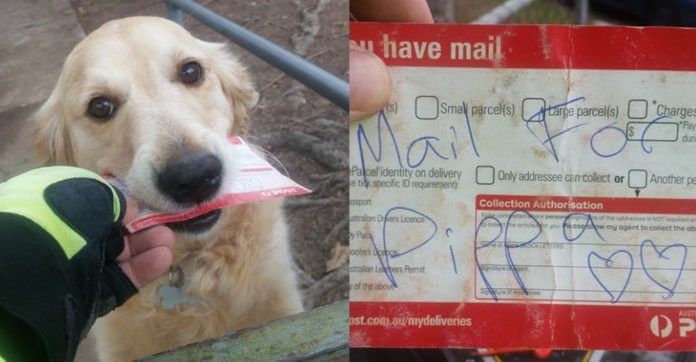 This Dog Loves The Mailman So Much She Gets…