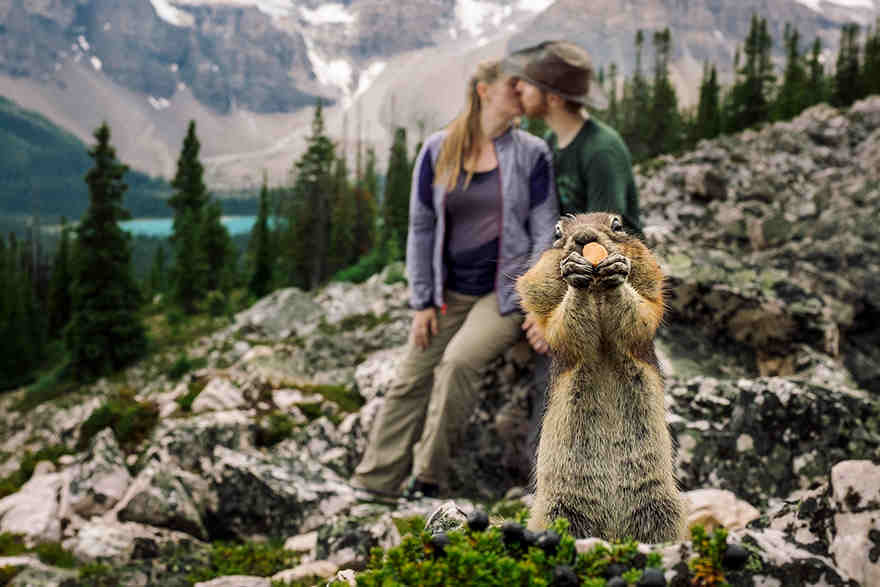 This Engagement Photo Is a Hit, Thanks To That UNEXPECTED Photobomber!