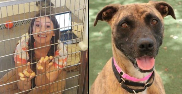 Why This Shelter Worker Locked Herself In A Kennel…