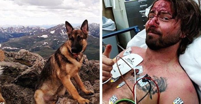 Lighting Nearly Kills Hiker, But His Loyal Dog Saves…