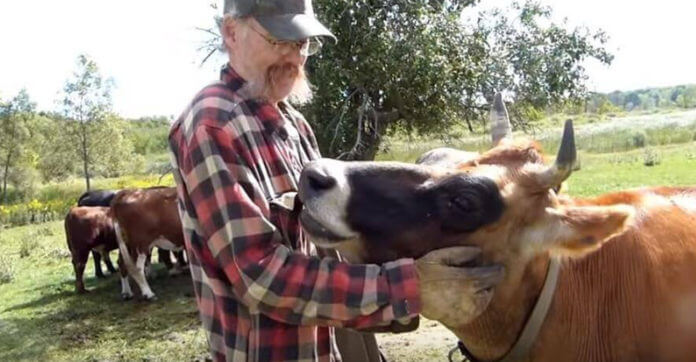 Man Who Raised Animals For Meat Has A Big…