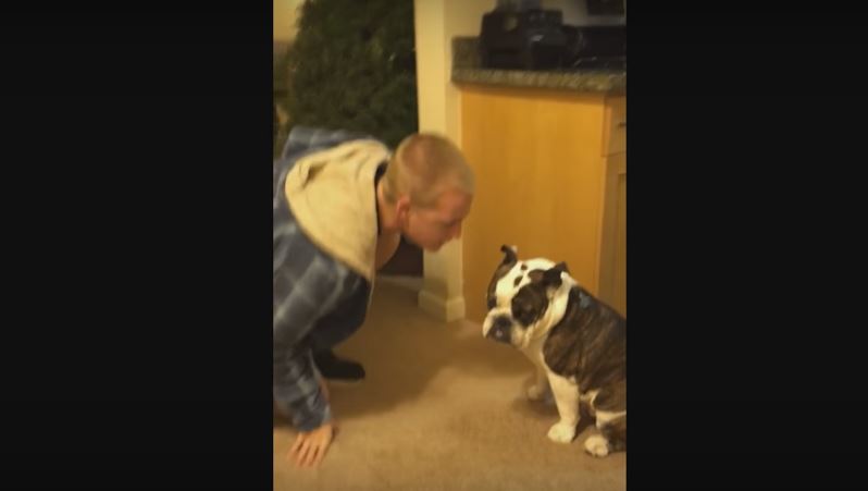 AWKWARD! Upset Bulldog Refuses To Be Kissed By His…