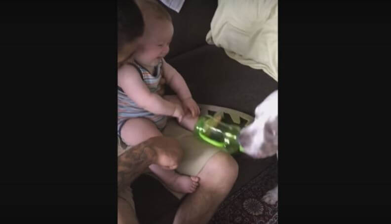 This Baby Is In Fits Of Laughter While Playing With His Pet Pooch. Too Cute I Can’t Even!