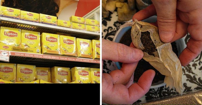 Did You Know That These Popular Teabags Contain Illegal…