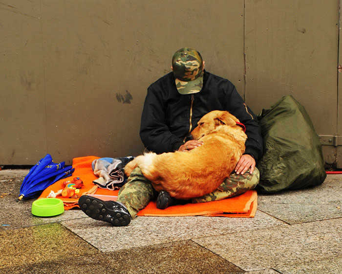 13 Pictures Of Homeless People With Their Loyal Dogs.…