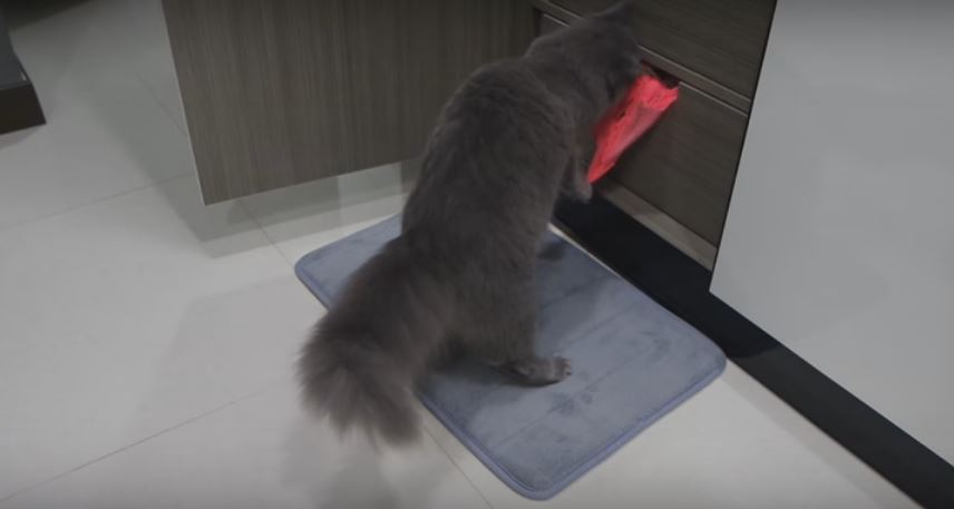 Kitty Steals Something From The Drawer. What Is It?…