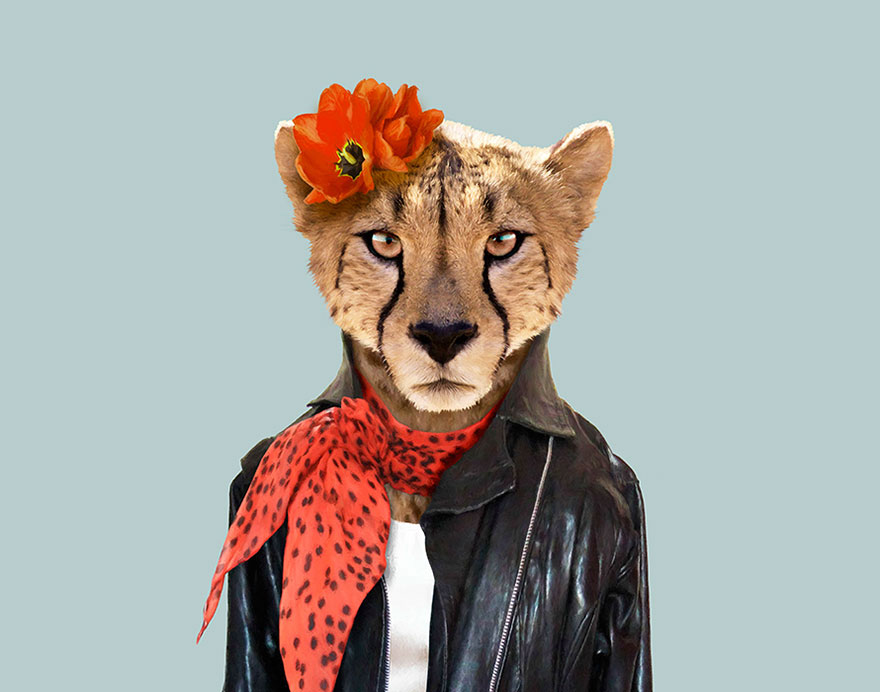 18 Photos Of Zoo Animals Dressed Up Like Humans.…