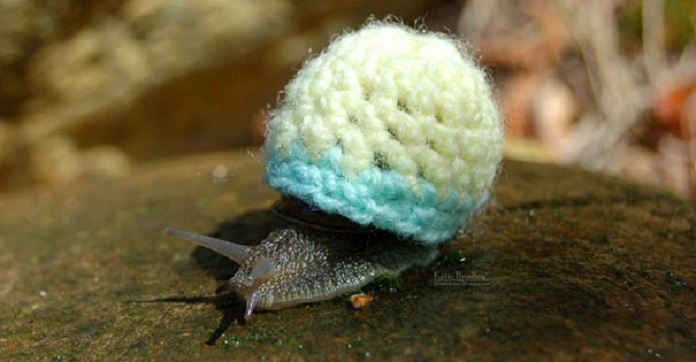 10 Tiny Animals In Sweaters That Will Definitely Make…