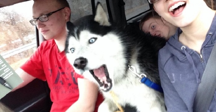 13 Pups Who’ve Mastered The Art Of Taking Selfies…