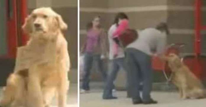 Shoppers Spot A Dog Outside Target. Then They Read…