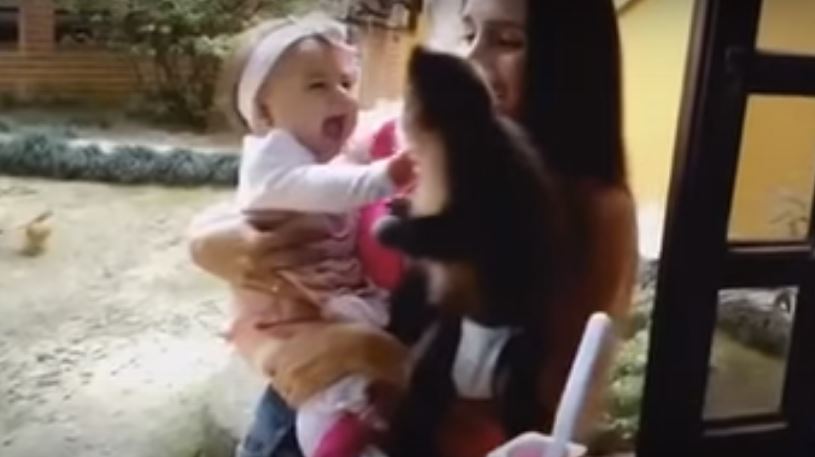 This Baby’s Reaction Each Time Her Friend Monkey Kisses…