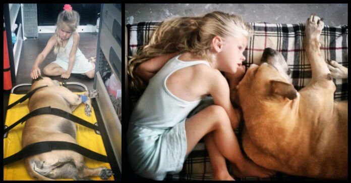 Dad Captures Heartbreaking Moments His Daughter Says Final Goodbyes…