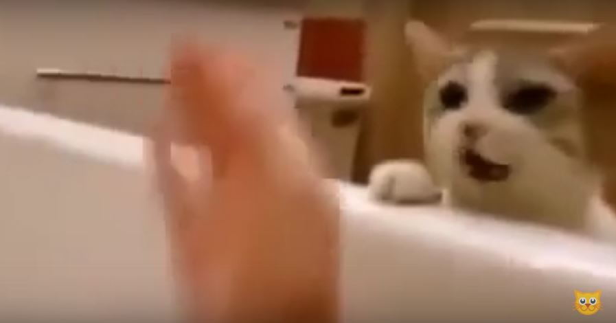 Human Pretends She’s Drowning In The Bathtub In Front…