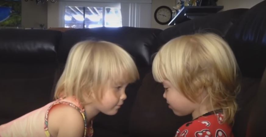 These Identical Twins Are Having A Heated Debate All…