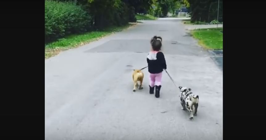 Little Girl Enjoys Morning Walk With Her Two Adorable…