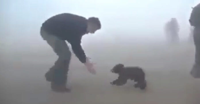 They Saved This Baby Bear From Forest Fire. How He Thanks Them? Heartwarming!