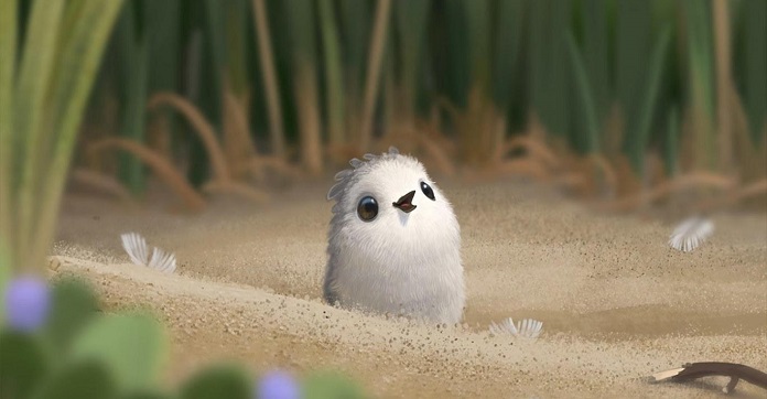 Pixar’s New Short Film Called ‘Piper’ Is Something You Just Have To Watch!