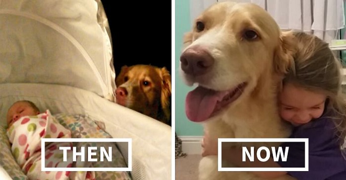 10 Before And After Photos Of Dogs Growing Up…