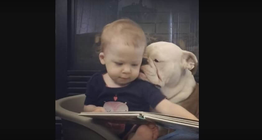 Baby And Bulldog Got Such A Sweet Bond It Will Melt Your Heart!