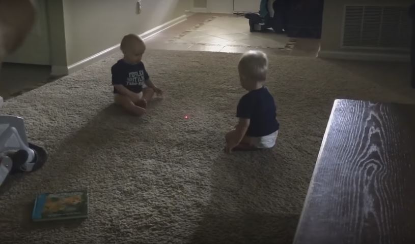 Twins Are Astonished To See A Laser Dot Freely…