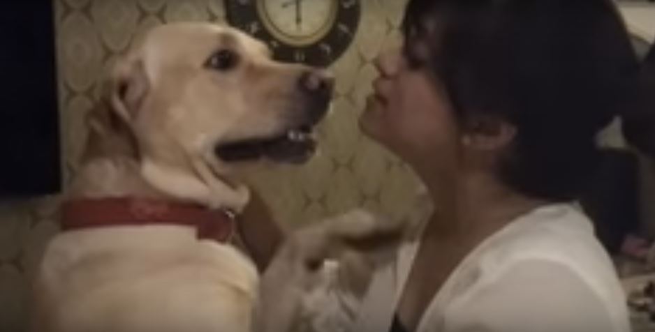 This Dog’s Reaction Each Time He’s Asked About The…