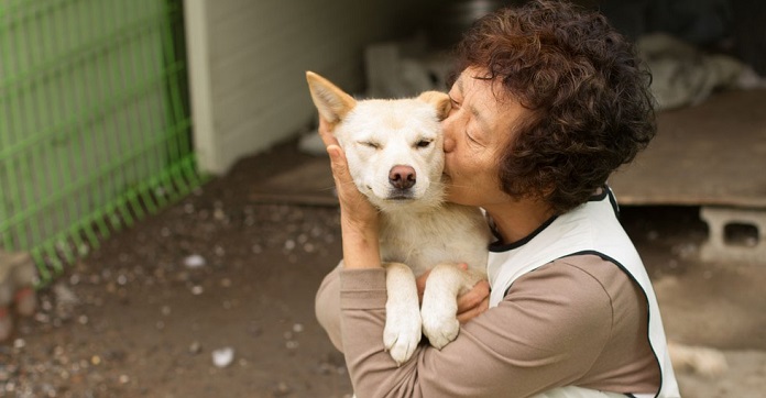 Hero Woman Gives Up Everything To Save Hundreds Of Dogs…