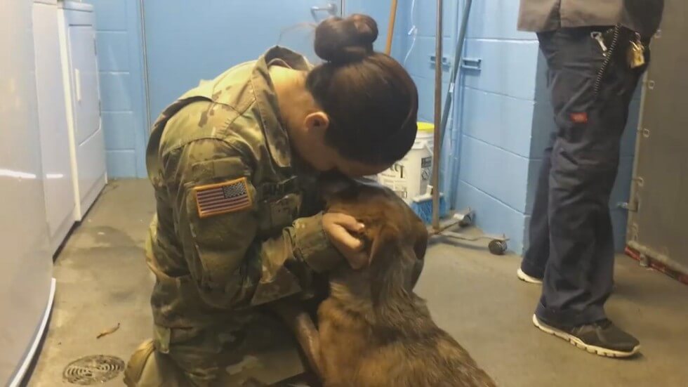 Soldier Goes To Meet Her Missing Dog She Thinks…