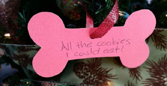 But What Exactly Do Our Pets Want For Christmas?…