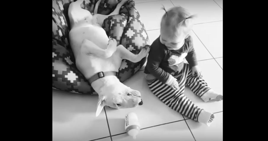 These Two Best Friends’ Bonding Moment Is Absolutely Gonna Warm Your Heart!