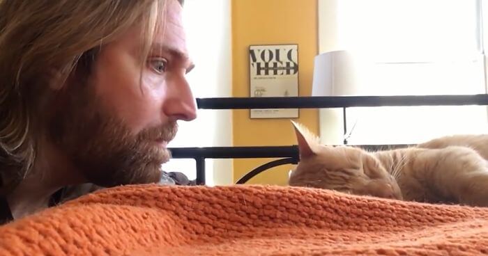 His Cat Kept Waking Him Up At 4 AM.…