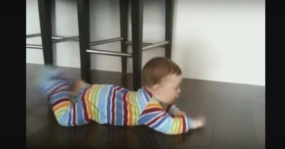 What Do You Think This Baby Can Do For A Bowl Of Cat Food? OMG So Cute!!!