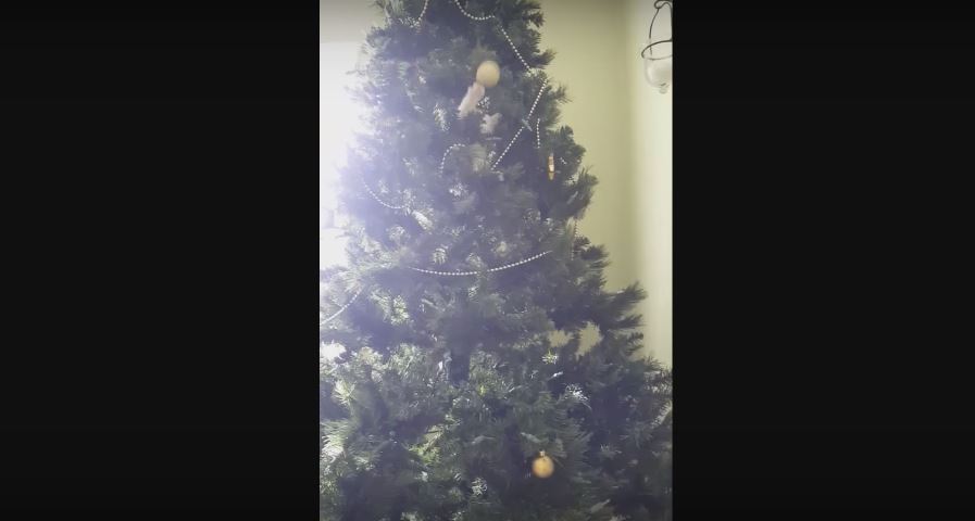 This Christmas Tree Looks Completely Normal From A Distance.…