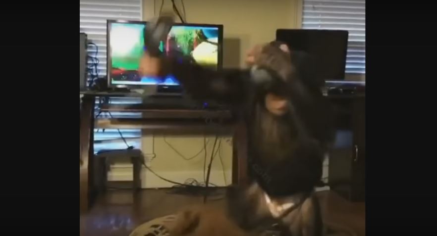 Chimpanzee Wears VR Equipment… Then Starts Popping Imaginary Balloons. So Adorably Funny!